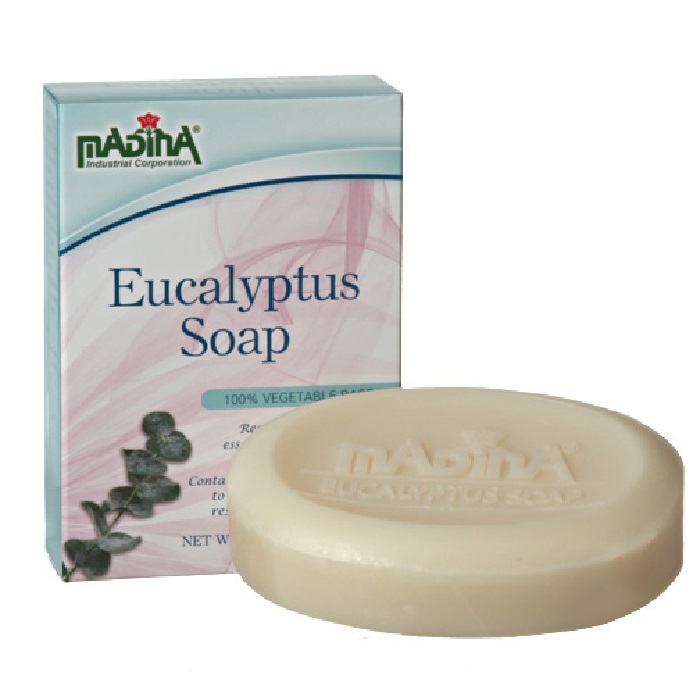Eucalyptus Soap 3.5oz - Pack of 6 pieces